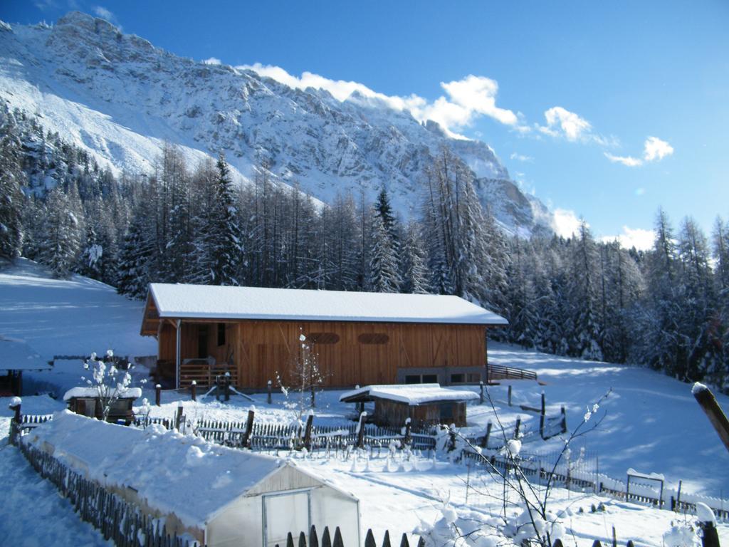 Fattoria Meneguto Agriturismo Degasper Giorgio Кортина-д'Ампеццо Экстерьер фото
